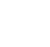 texas icon